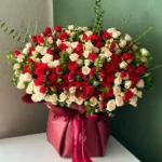 گل رز دو رنگ